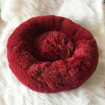 shih tzu bed