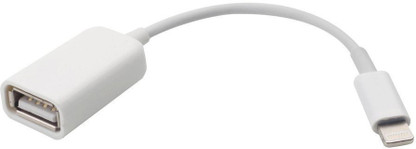 lightning to usb otg cable