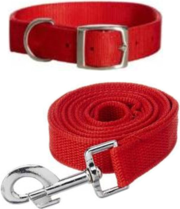 dog belts price