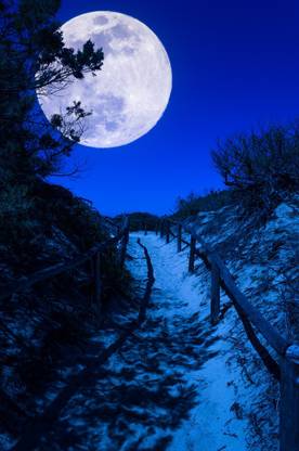 A Beautiful Moon At Night Moon Quotes Wall Poster Romantic Poster Moon Poster Paper Print Art Paintings Posters In India Buy Art Film Design Movie Music Nature And Educational Paintings Wallpapers At Flipkart Com A Beautiful Moon At Night Moon Quotes Wall Poster Romantic Poster Moon Poster Paper Print Art Paintings Posters In India Buy Art Film Design Movie Music Nature And Educational Paintings Wallpapers At Flipkart Com