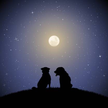 Dog Friends On Moonlit Moon Quotes Wall Poster Romantic Poster Moon Poster Paper Print Art Paintings Posters In India Buy Art Film Design Movie Music Nature And Educational Paintings Wallpapers At Flipkart Com Dog Friends On Moonlit Moon Quotes Wall Poster Romantic Poster Moon Poster Paper Print Art Paintings Posters In India Buy Art Film Design Movie Music Nature And Educational Paintings Wallpapers At Flipkart Com