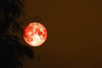 Red Blood Moon Back Moon Quotes Wall Poster Paper Print Nature Posters In India Buy Art Film Design Movie Music Nature And Educational Paintings Wallpapers At Flipkart Com