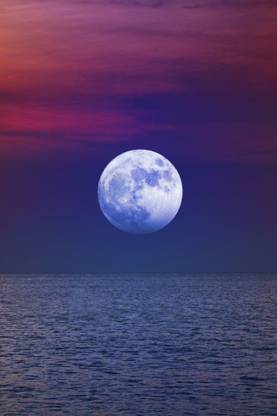 Beautiful Scene Of Full Moon Moon Quotes Wall Poster Romantic Poster Paper Print Nature Posters In India Buy Art Film Design Movie Music Nature And Educational Paintings Wallpapers At Flipkart Com