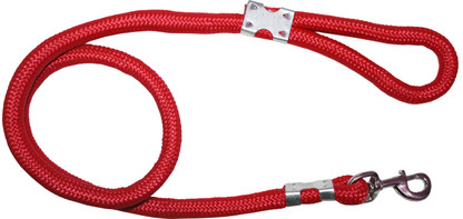 Dog leash price in india Clearance
