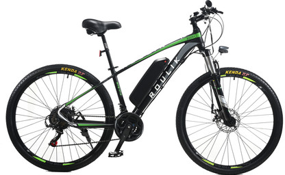 Roulik avalanche 38.0 sales