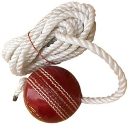 Cricket Leather Hanging Ball for Practice white premium Quality 