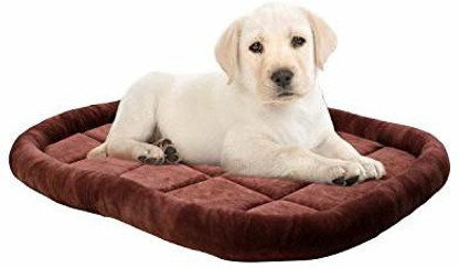 soft beds for dogs