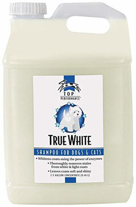 top performance dog shampoo