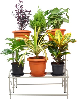 Flower stand Pot Plant Planter Herbs Flower Stands Indoor and Outdoor Use Vintage Style 2 tier metal garden plant pot display shelf stand flower patio deck in Color : Brown , Size : 29x62cm &outdoor 