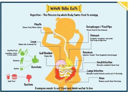 Science Poster for Kids Paper Print - Children, Educational ...