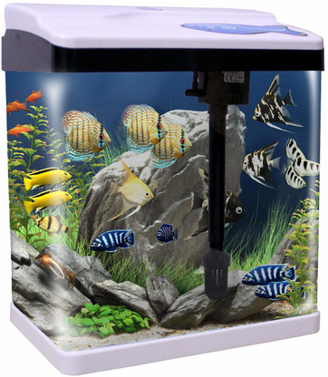 sobo fish tank