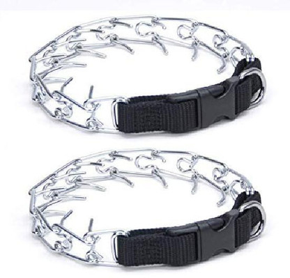 titan dog collar