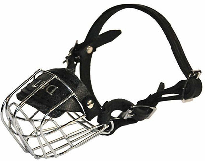 dean and tyler muzzle