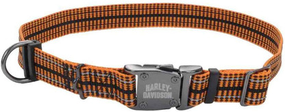 harley davidson dog collar