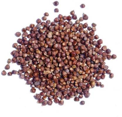 Go Raw tumbru beej - beej tomar - timur - tomru seeds - nepali dhania - zanthoxylum alatum (100 gram per pack) Seed