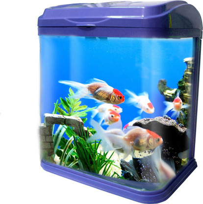 fibre aquarium