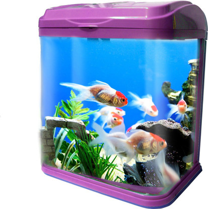 plastic fish aquarium
