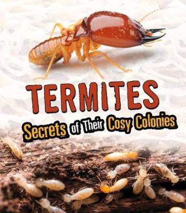 Termites: Buy Termites By Stefoff Rebecca At Low Price In India |  Flipkart.com
