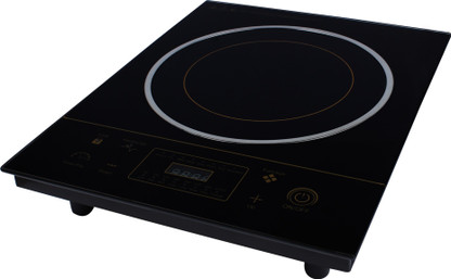 induction gas flipkart