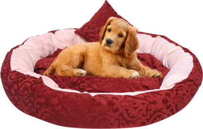 dog bed flipkart