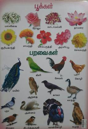Flowers Birds In Tamil A3 Size G44 Set Of 1 Posters Fine Art Print Children Posters In India Buy Art Film Design Movie Music Nature And