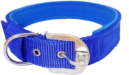 dog collar prices