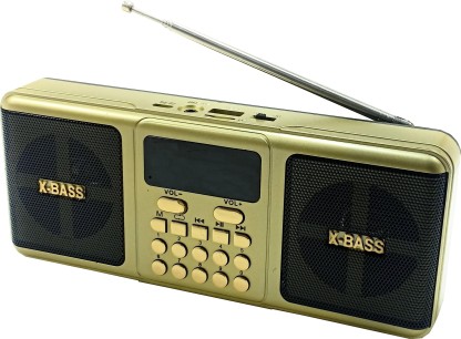 dual speaker radio