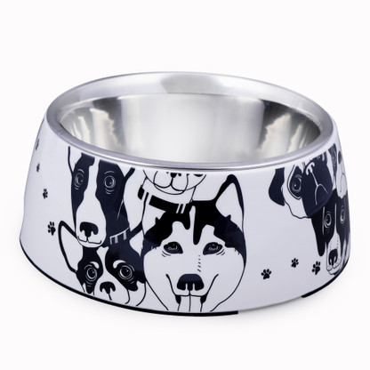 designer dog dishes