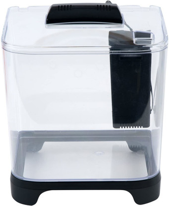 betta fish tank with filter