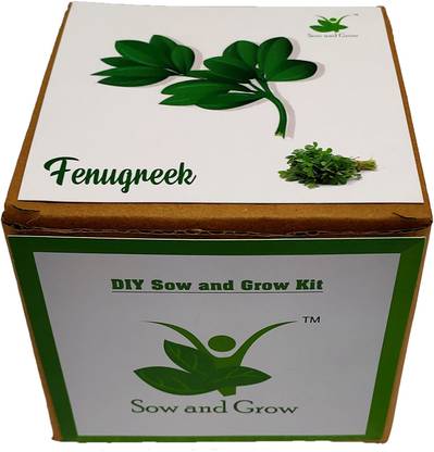 Sow And Grow Diy Easy Gardening Kit Of Fenugreek Methi For Home And Garden Grow It Yourself Kit Best Kids Ecofriendly Birthday Return Gifts Seed Price In India Buy Sow And