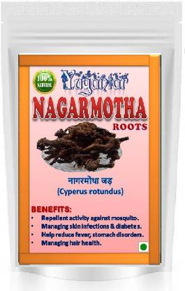 YUGANTAR NAGARMOTHA ROOTS Seed Price in India - Buy YUGANTAR NAGARMOTHA ROOTS Seed online at YUGANTAR NAGARMOTHA ROOTS Seed Price in India - Buy YUGANTAR NAGARMOTHA ROOTS Seed online at