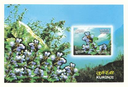 Phila Hub 2006-Save Kurinji Miniature Sheet MNH Condition Stamps