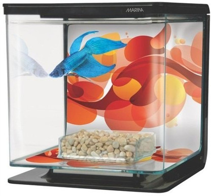 marina betta tank