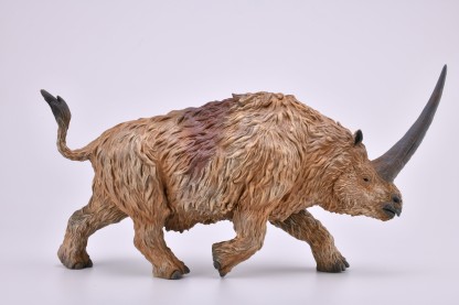 Deluxe 1 20 Scale for sale online Figure Elasmotherium 2019 Collecta Dinosaur Toy 