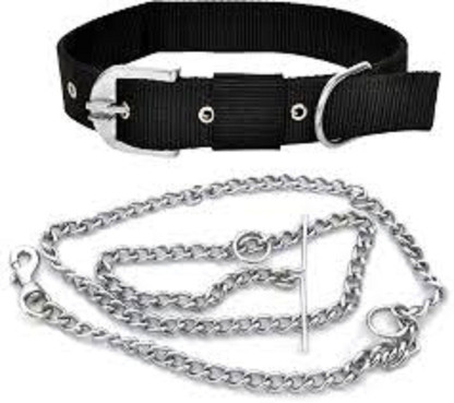 dog chain leash