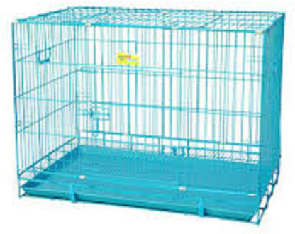 cage for pug