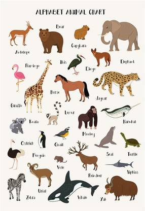 alphabets chart poster with animal name for kid learning and for play schools( no need of tap) Paper Print - Educational posters in India - Buy art, film, design, movie, music, nature alphabets chart poster with animal name for kid learning and for play schools( no need of tap) Paper Print - Educational posters in India - Buy art, film, design, movie, music, nature