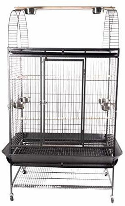 african grey play stand