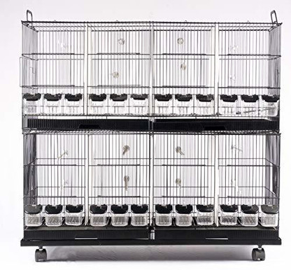 bird cage with partition