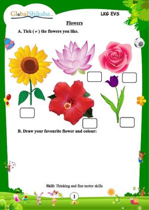 worksheets for lkg maths evs english buy worksheets for lkg maths evs english by global shiksha india pvt ltd at low price in india flipkart com