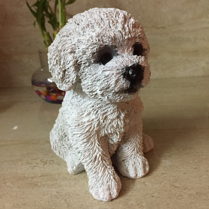 bichon frise items
