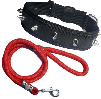 dog neck strap