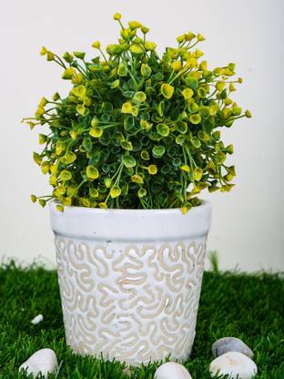 Justoriginals Ashwani Design With Rd Print Small Flower Pot Color White Plant Container Set Price In India Buy Justoriginals Ashwani Design With Rd Print Small Flower Pot Color White