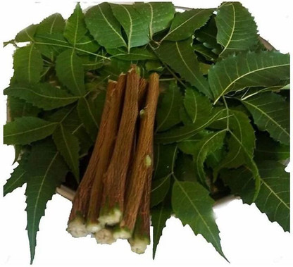 neem toothbrush