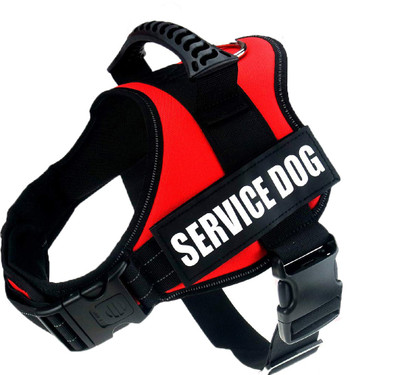 mesh dog harness