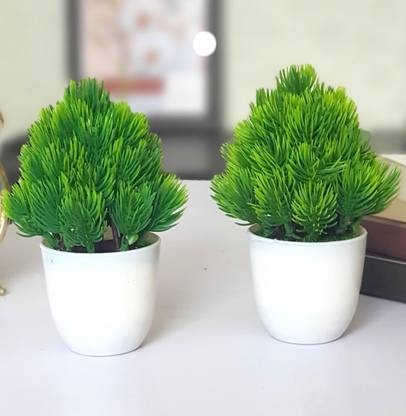 Litleo Set Of 2 Small Size Great For Home Or Office Decoration Or Birthday Gift Table Top Bonsai Wild Artificial Plant With Pot Price In India Buy Litleo Set Of 2