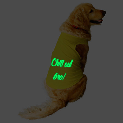 Dog clothes flipkart Clearance