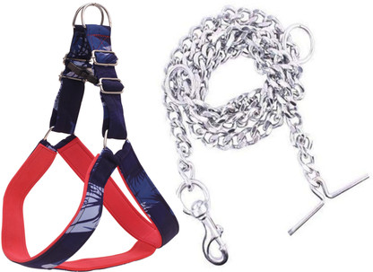 ADIOS Dog Belt Combo of 1.5 inch Blue