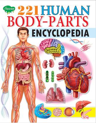221 Human Body Parts Encyclopedia By Sawan Buy 221 Human Body Parts Encyclopedia By Sawan By Sawan At Low Price In India Flipkart Com
