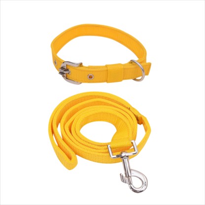 yellow leash for dogs